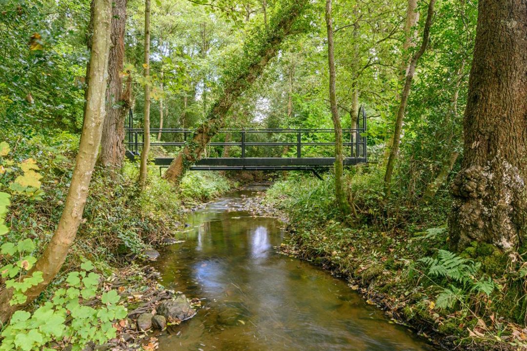 Photo of Others in Rowlands Gill