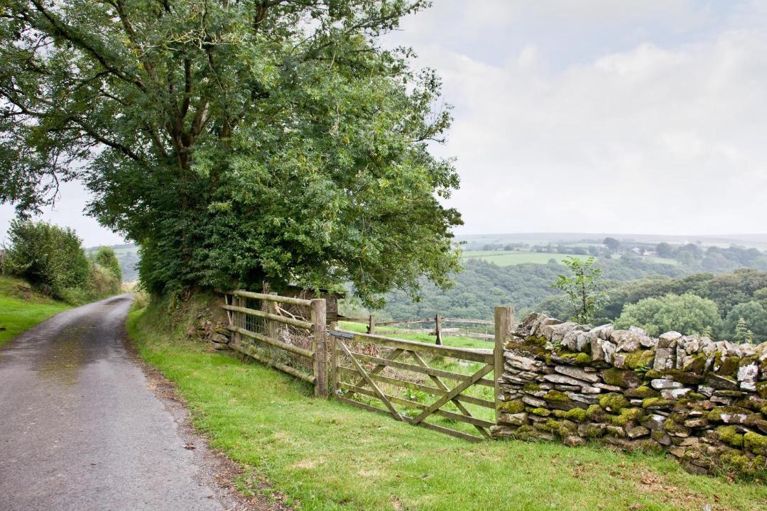 Photo of Others in Lynton