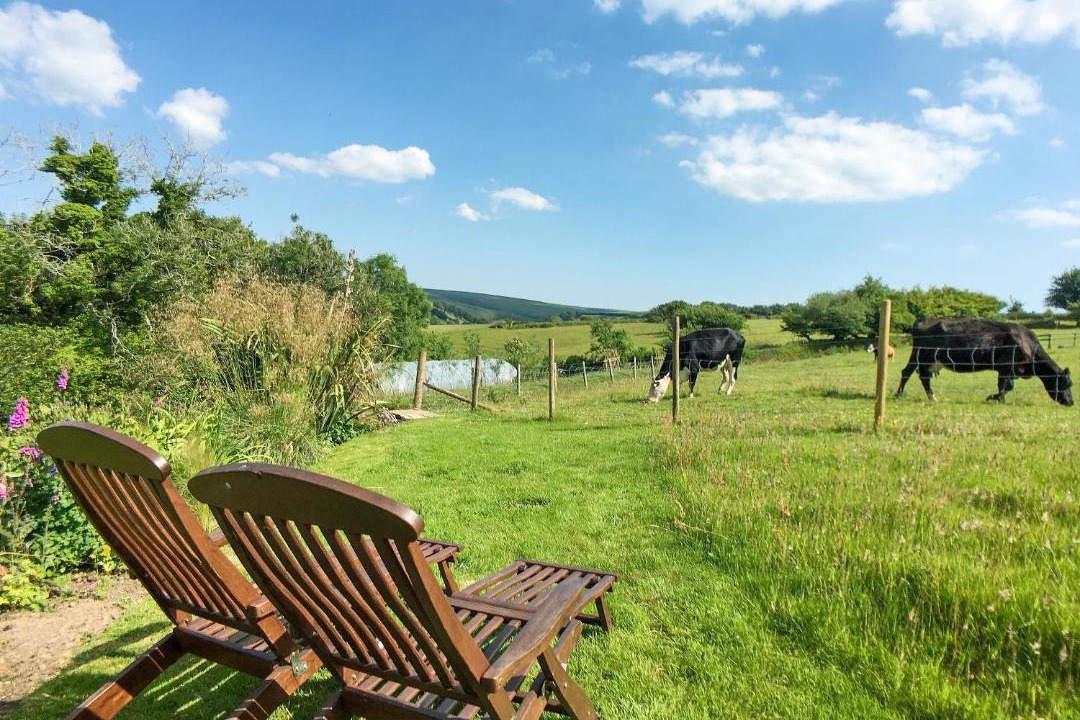 Photo of Others in Lynton