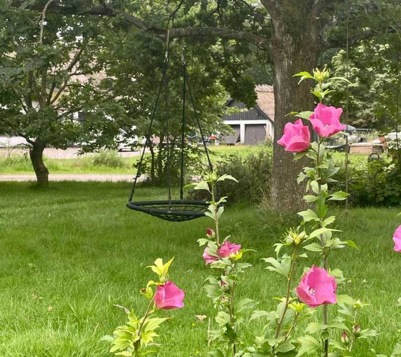 Photo of Others in Vedelshave