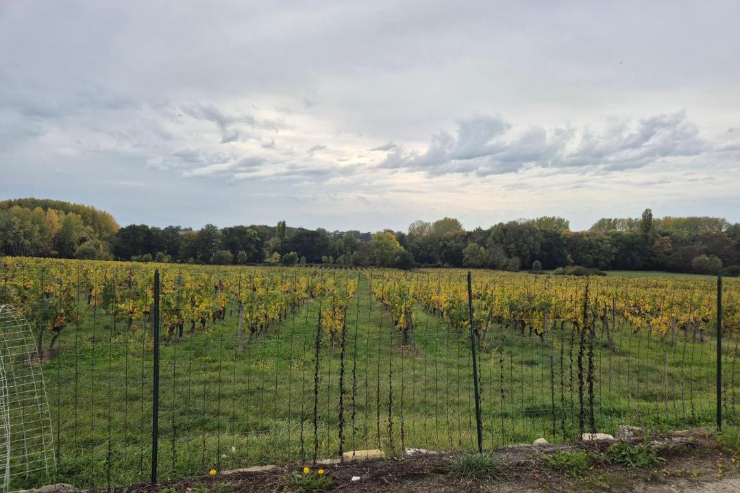 Photo of Others in Montagne