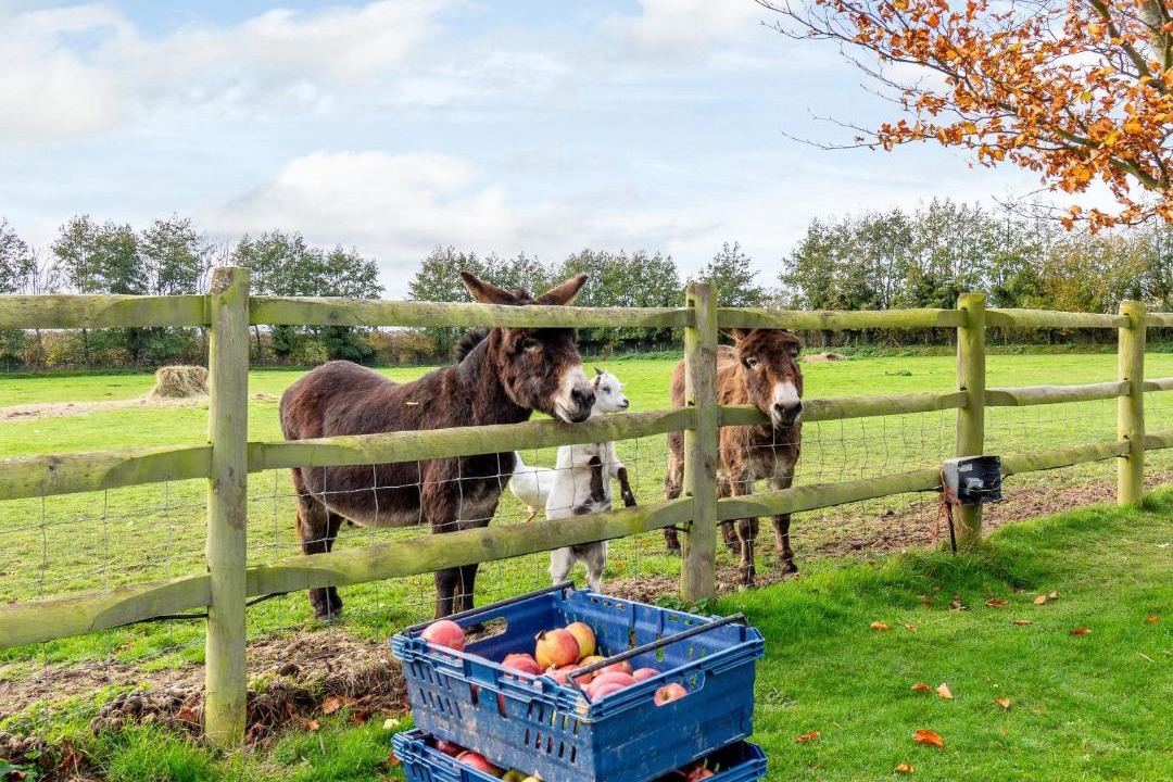 Photo of Others in Sittingbourne