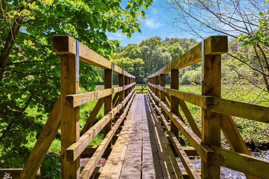 Photo of Others in Hawnby