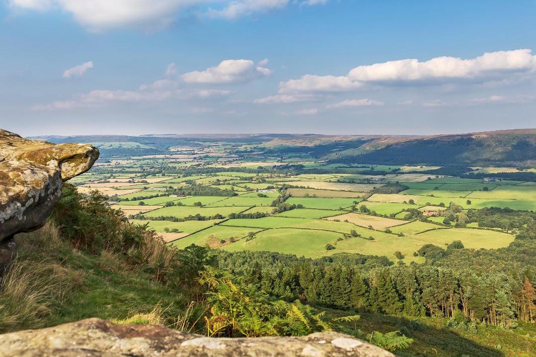 Photo of Others in Hawnby