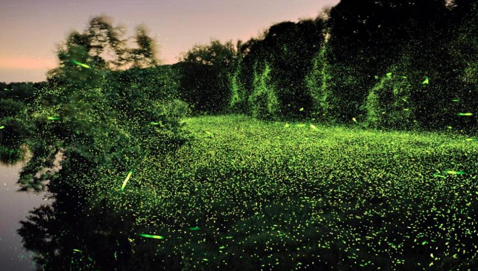 Photo of Others in Saint-Remy-Sur-Durolle