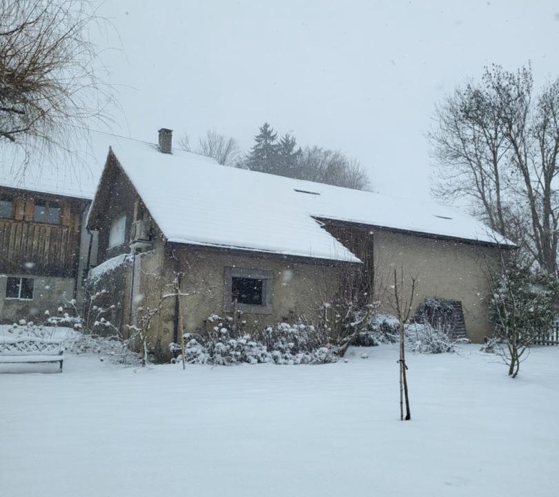 Photo of Others in La Roche-sur-Foron