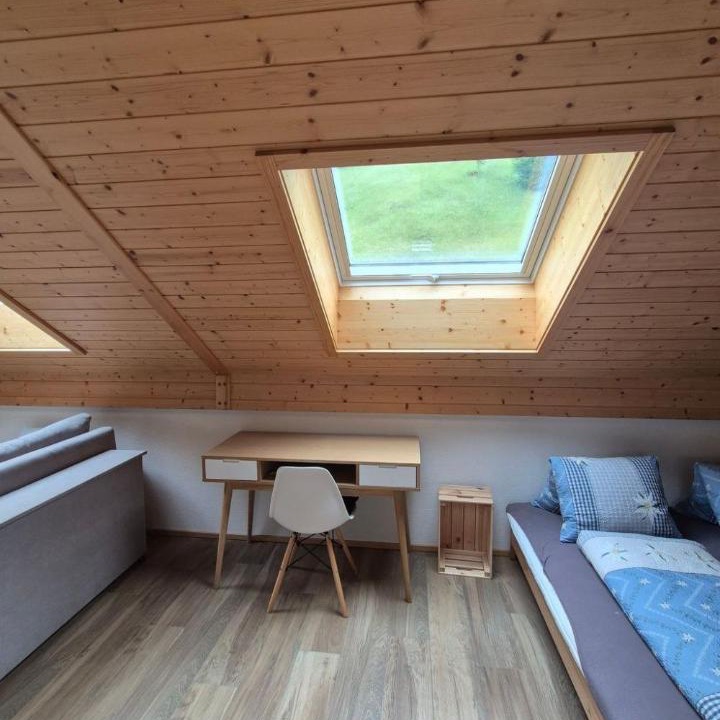 Photo of Others in Fluehli