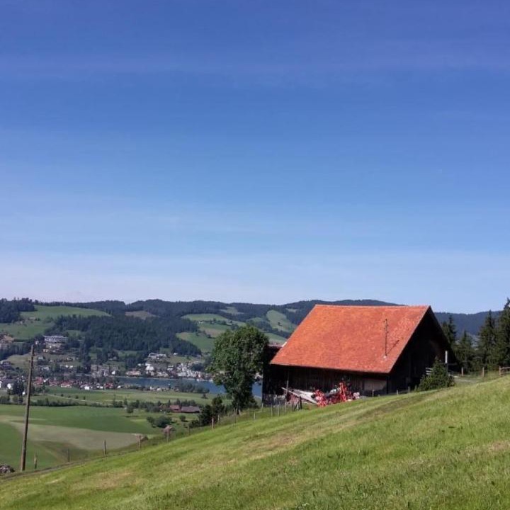 Photo of Others in Unterageri