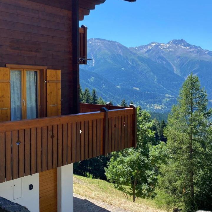 Photo of Others in Bellwald