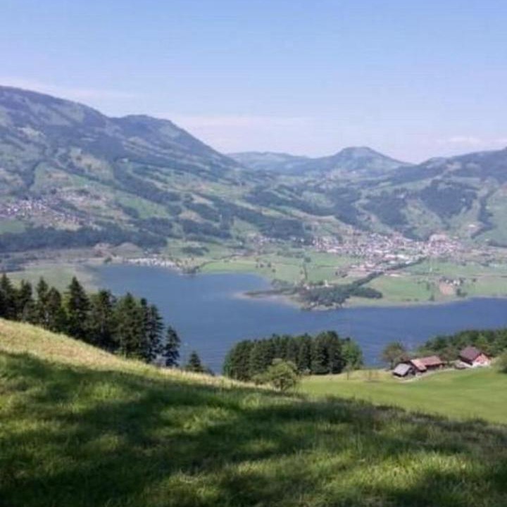 Photo of Others in Lauerz