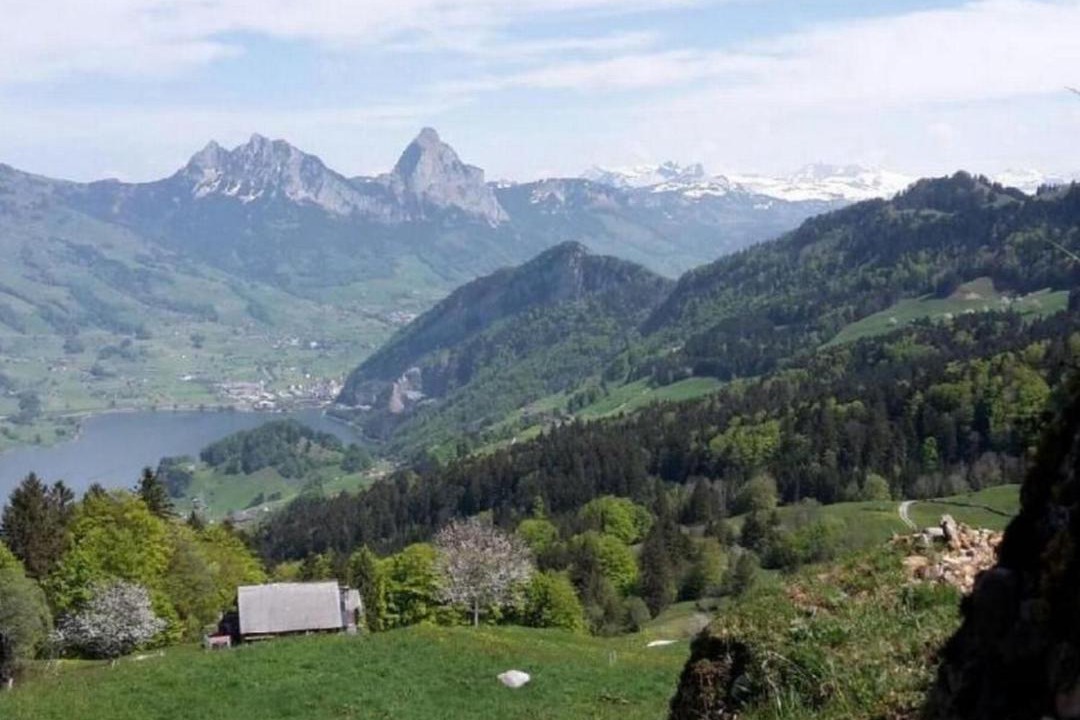 Photo of Others in Lauerz