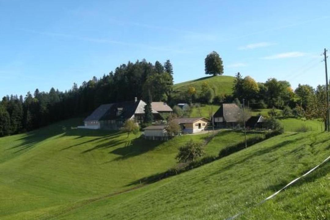 Photo of Others in Trachselwald