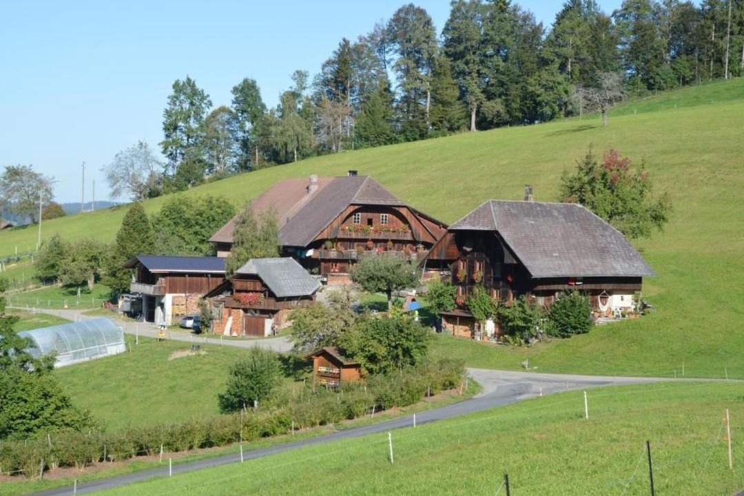 Photo of Buildings in Signau