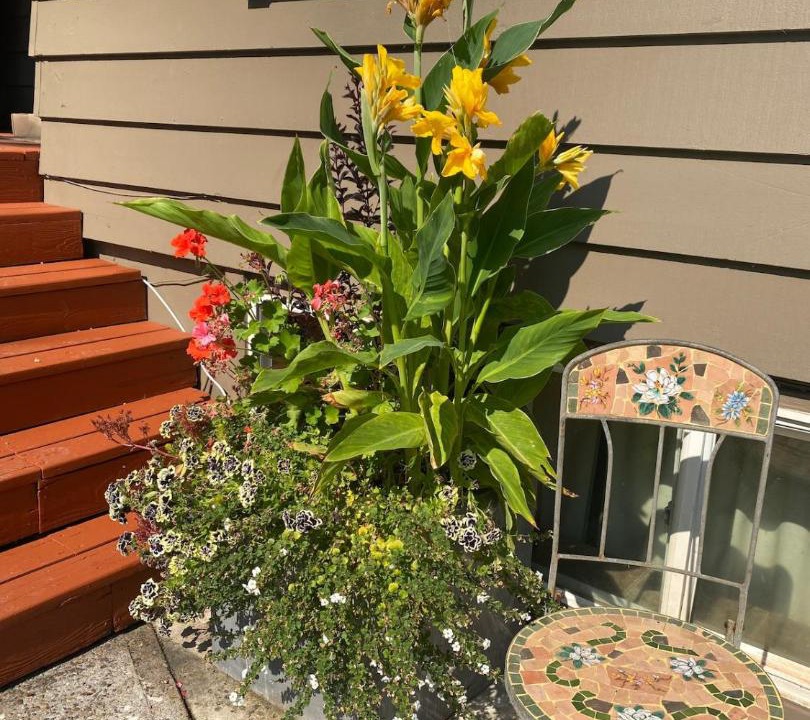 Photo of Others in Deer Island