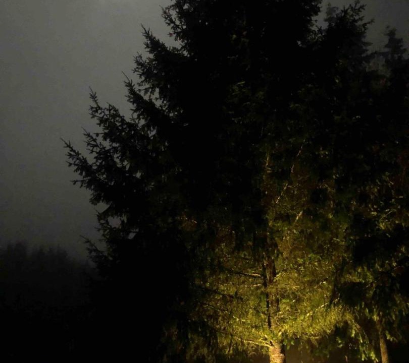 Photo of Others in Deer Island