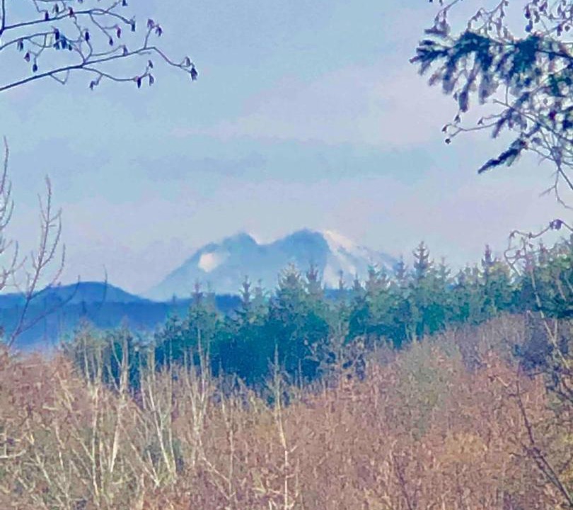 Photo of Others in Deer Island