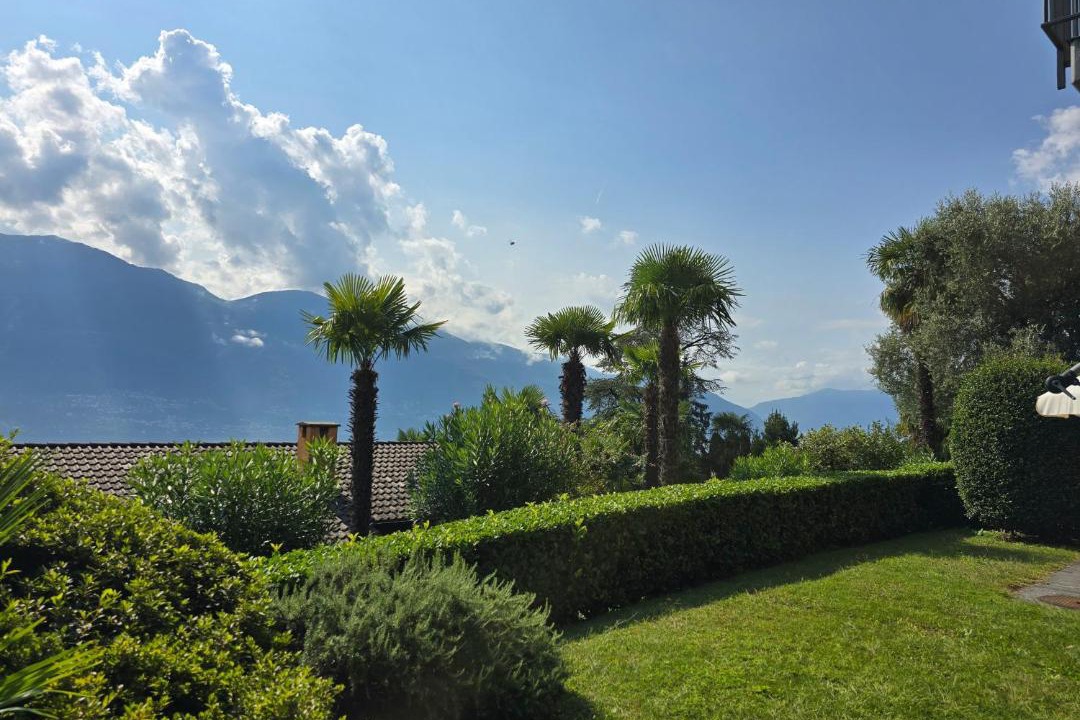Photo of Others in Locarno