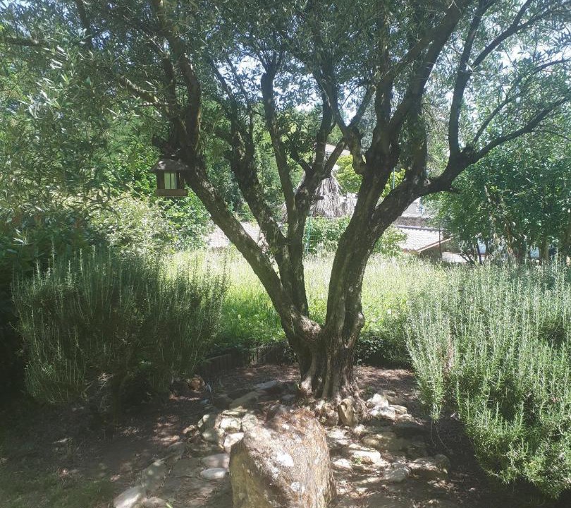 Photo of Others in Chatuzange-le-Goubet