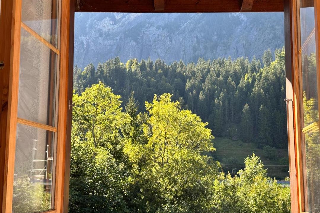 Photo of Others in Blausee
