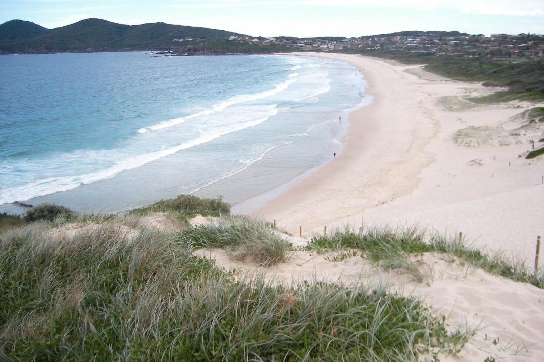 Photo of Others in Tuncurry