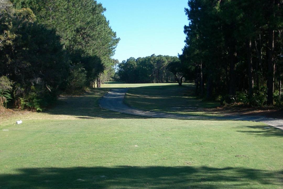 Photo of Others in Tuncurry