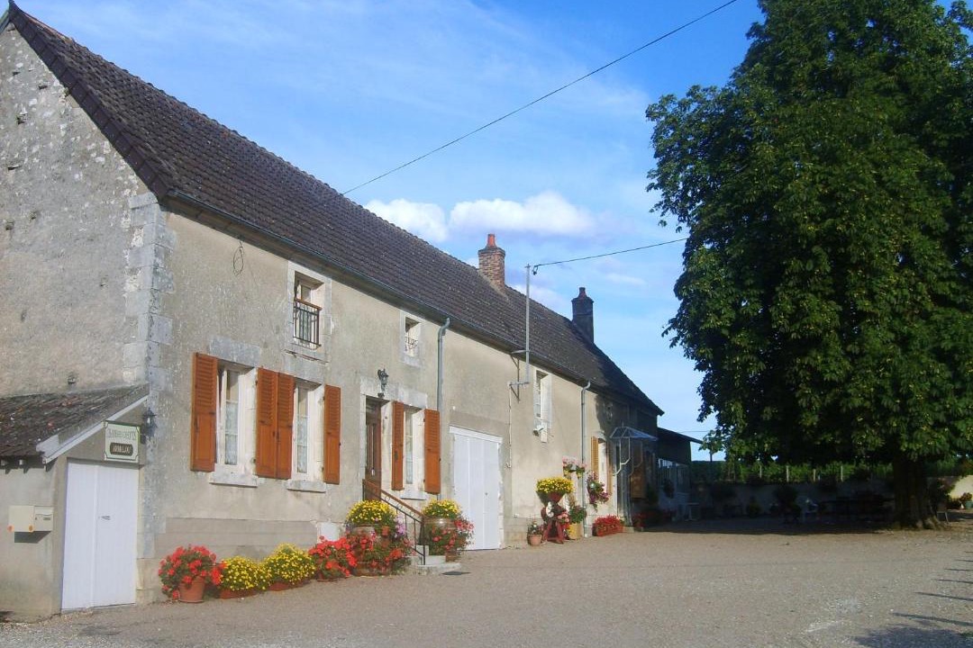 Photo of Others in Saint-Andelain