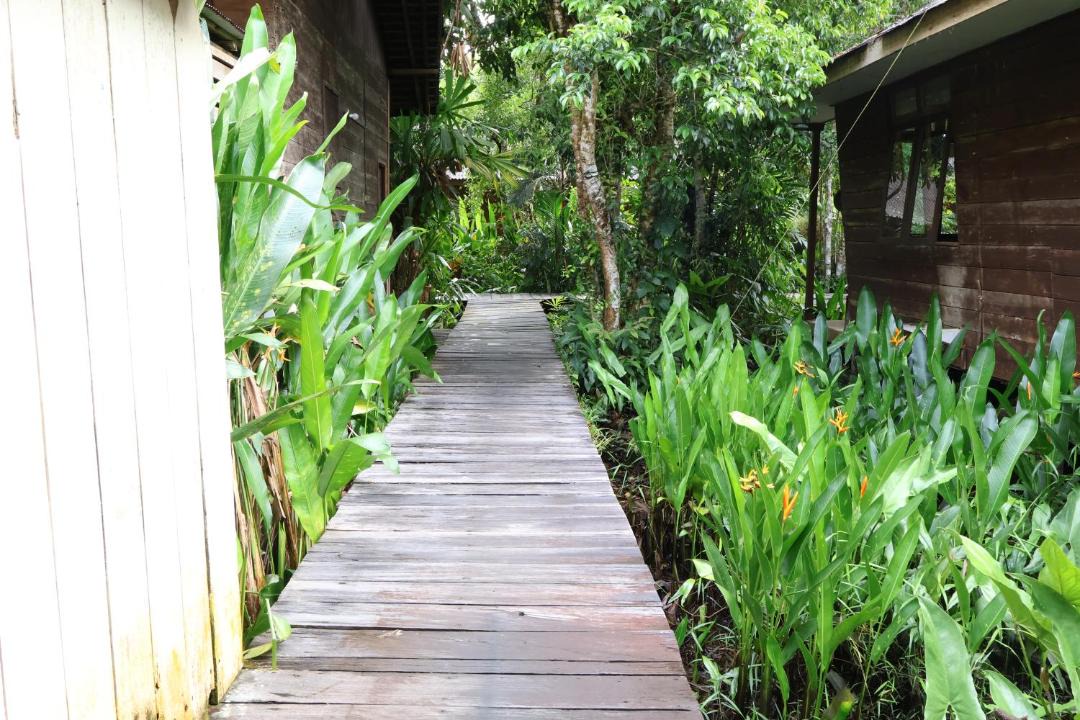 Photo of Others in Kalimantan