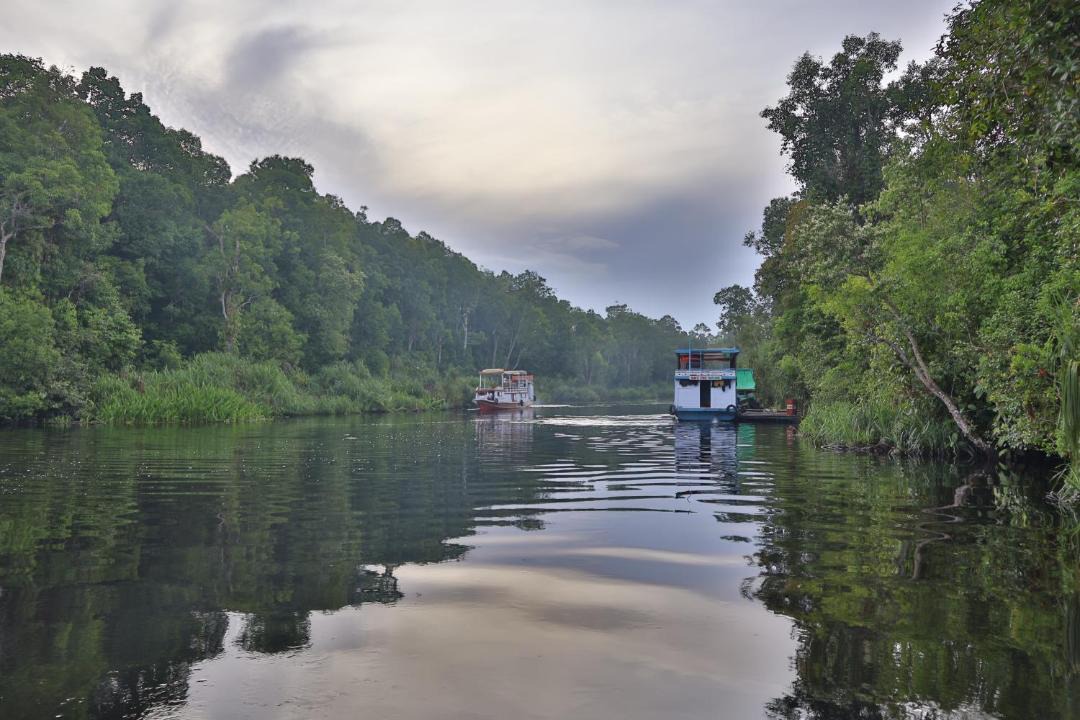 Photo of Others in Kalimantan