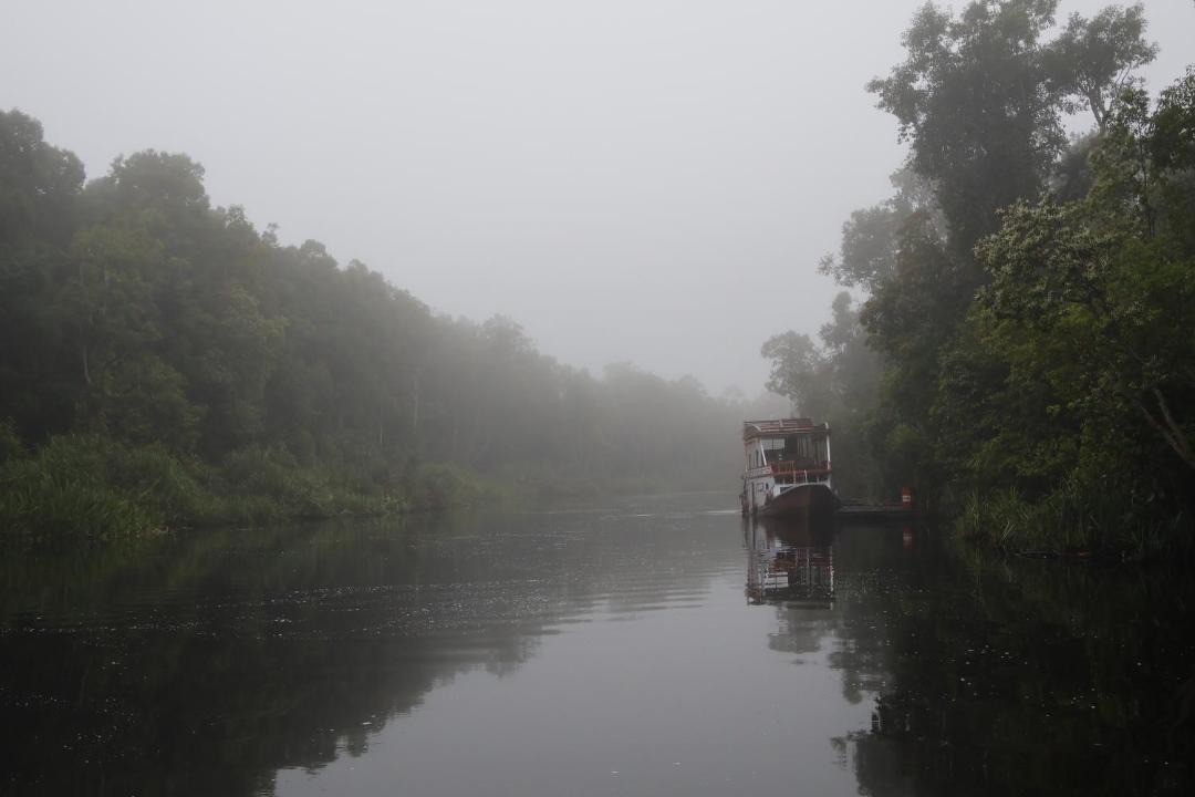 Photo of Others in Kalimantan