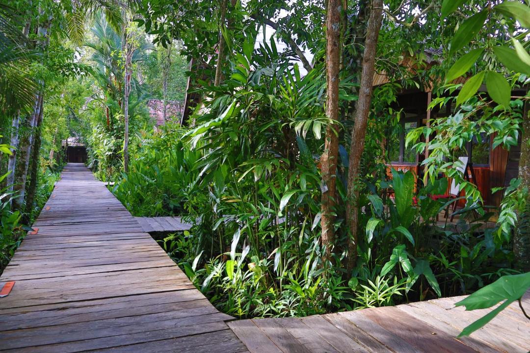 Photo of Others in Kalimantan