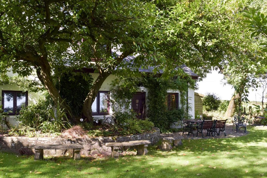 Photo of Others in Wiseman's Bridge