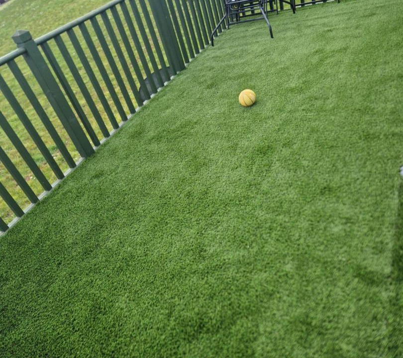 Photo of Others in Dunbar