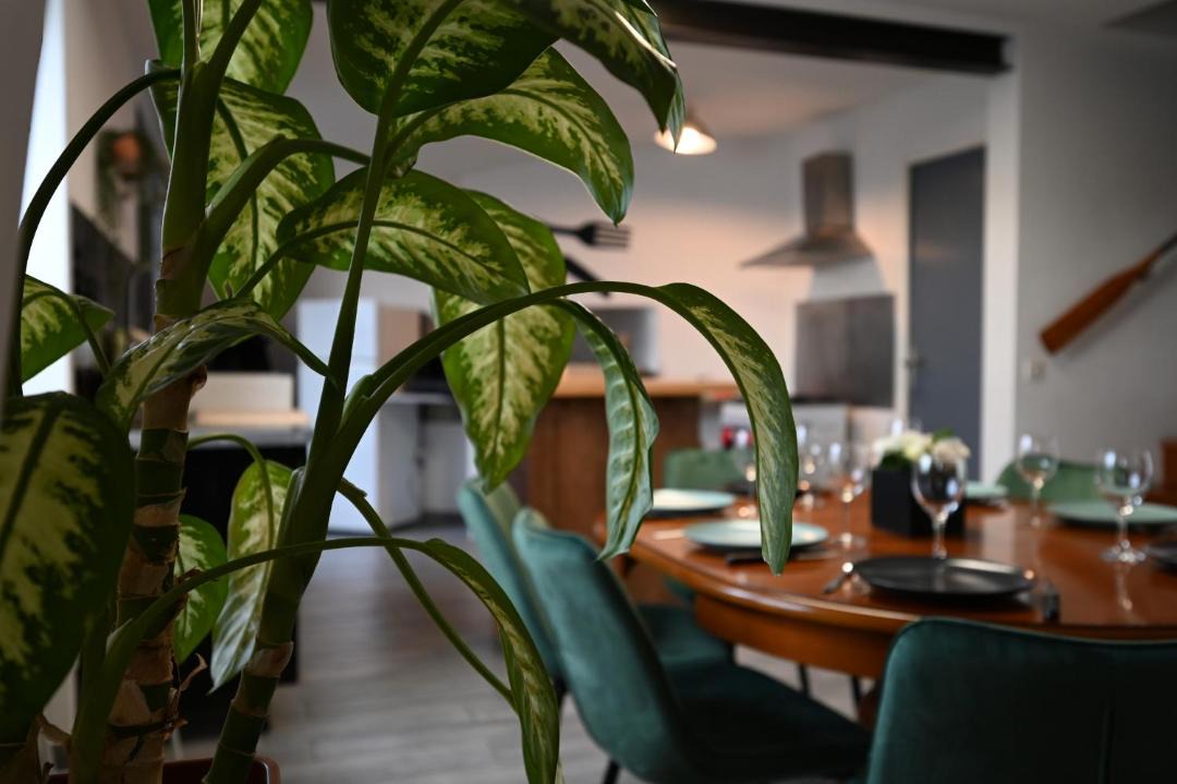 Photo of Others in Champtoceaux