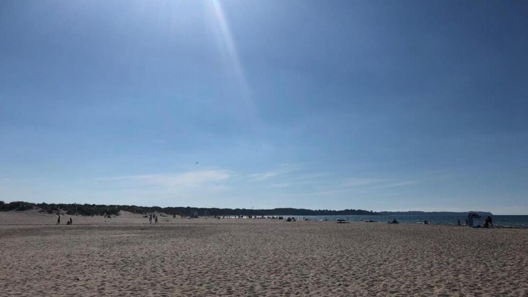 Photo of Others in Hornbaek