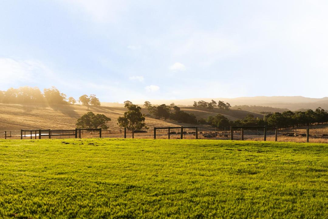 Photo of Others in Hahndorf