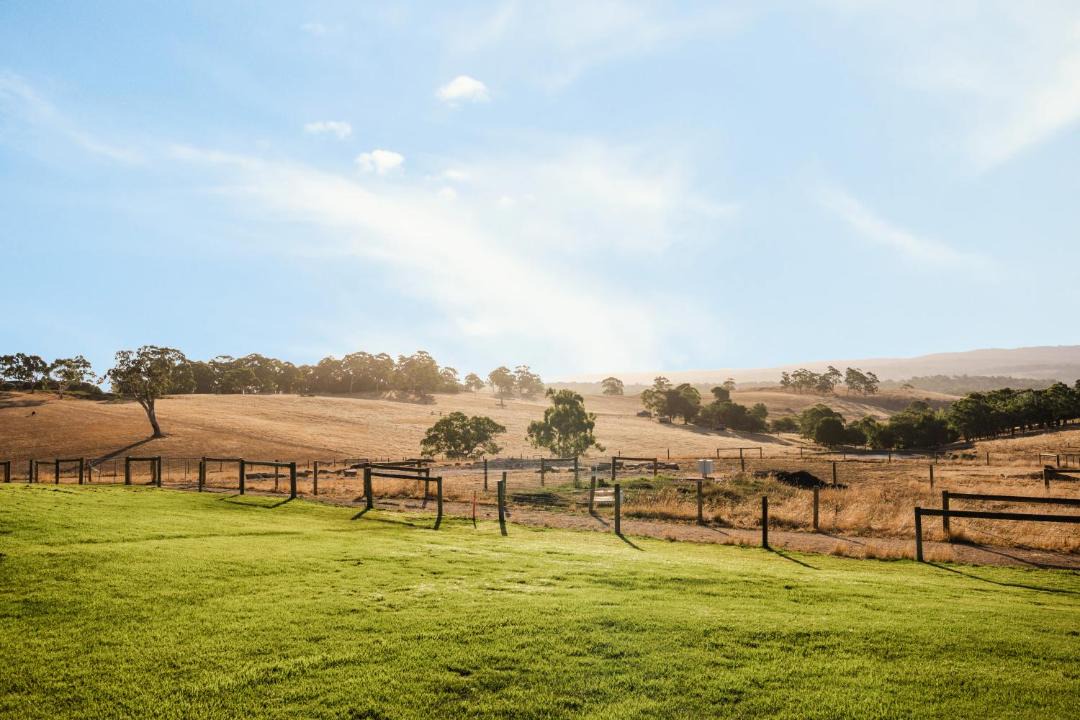 Photo of Others in Hahndorf