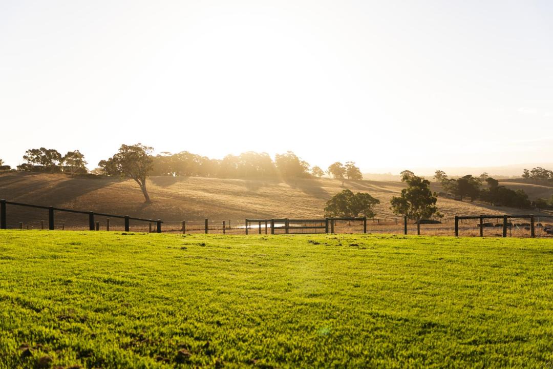 Photo of Others in Hahndorf