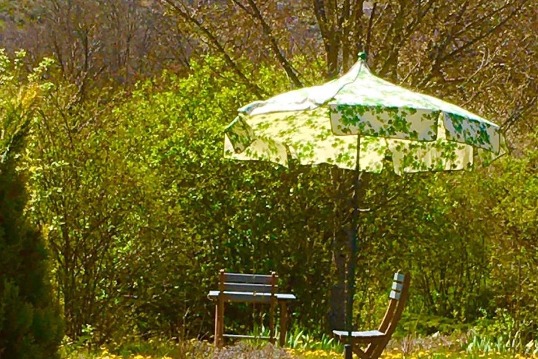 Photo of Others in Mas-Saint-Chely