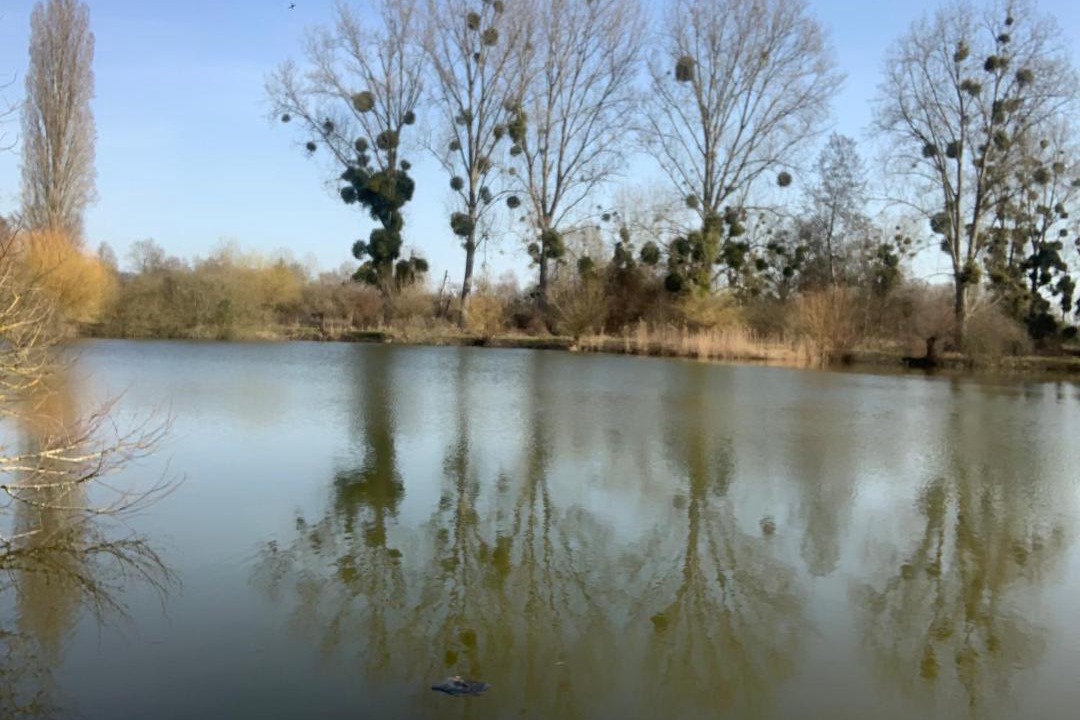 Photo of Others in Prouilly