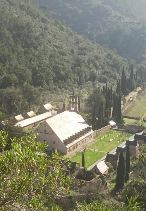 Photo of Others in La Alberca