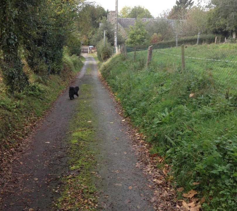 Photo of Others in La Rochelle-Normande