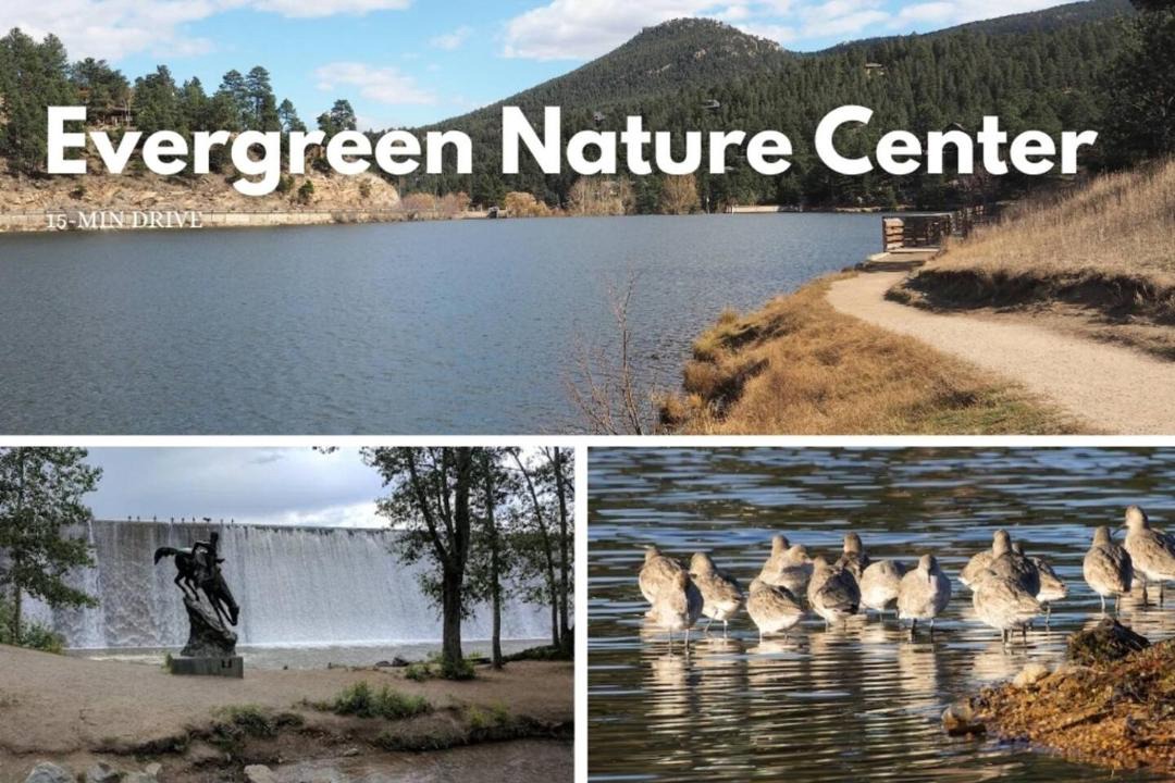 Photo of Others in Evergreen