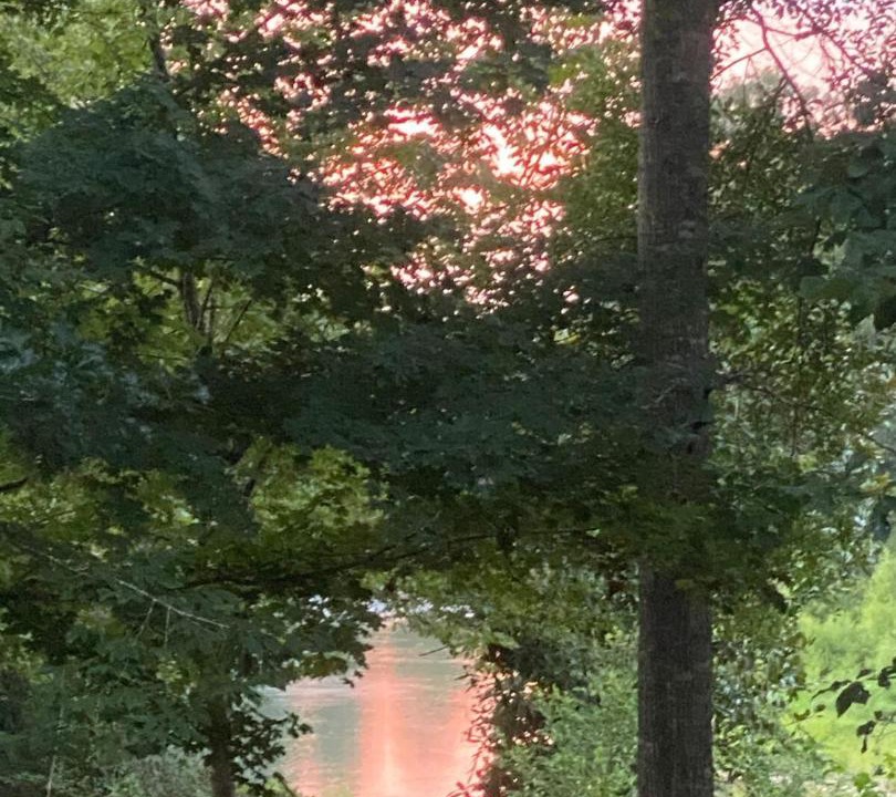 Photo of Others in Tylertown