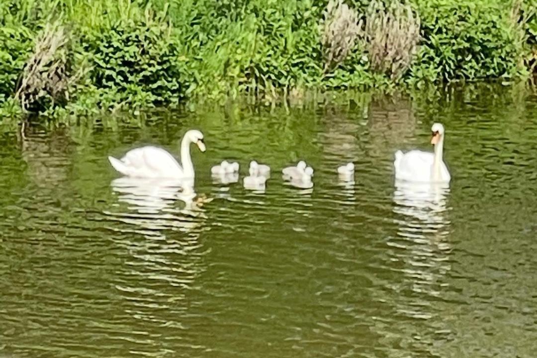 Photo of Others in Dunbar