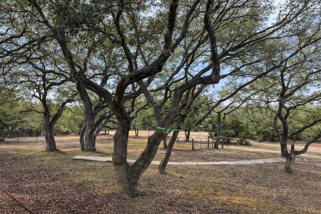 Photo of Others in Boerne