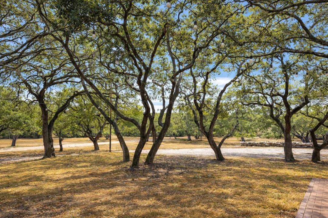 Photo of Others in Boerne