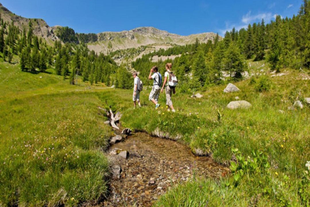 Photo of Others in Allos