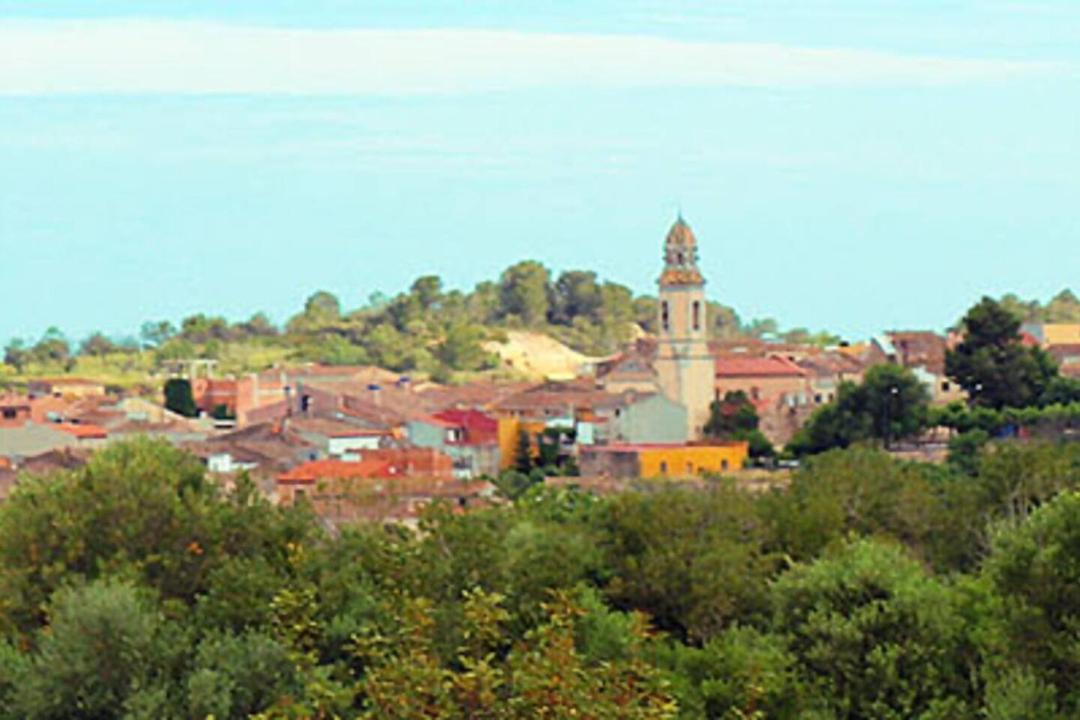 Photo of Buildings in Nulles