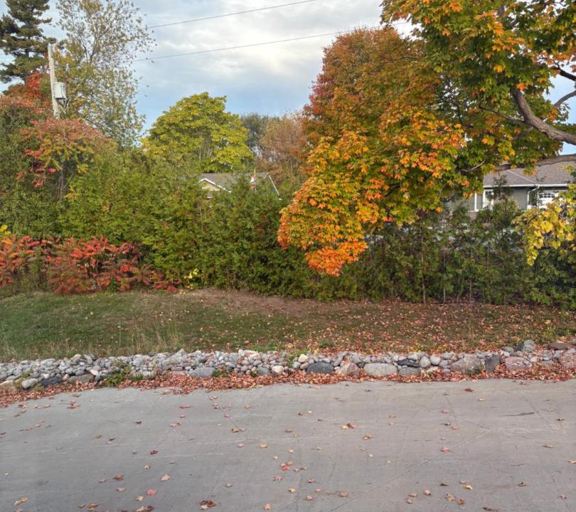 Photo of Others in Colborne