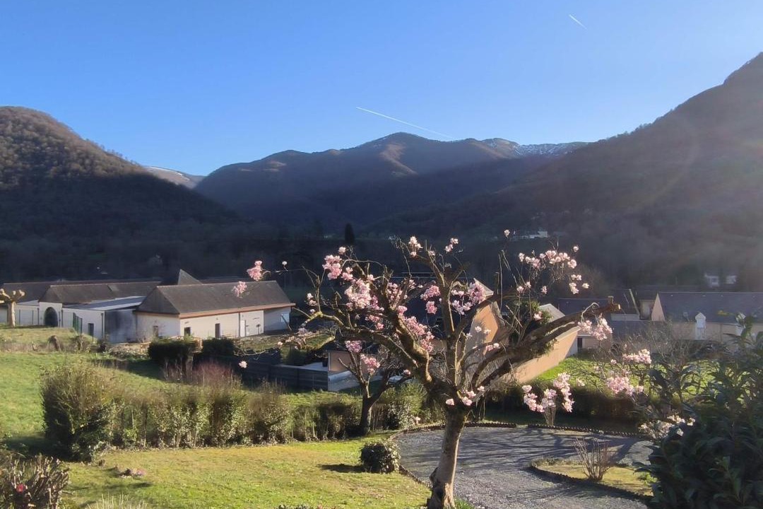 Photo of Others in Saint-Pe-de-Bigorre